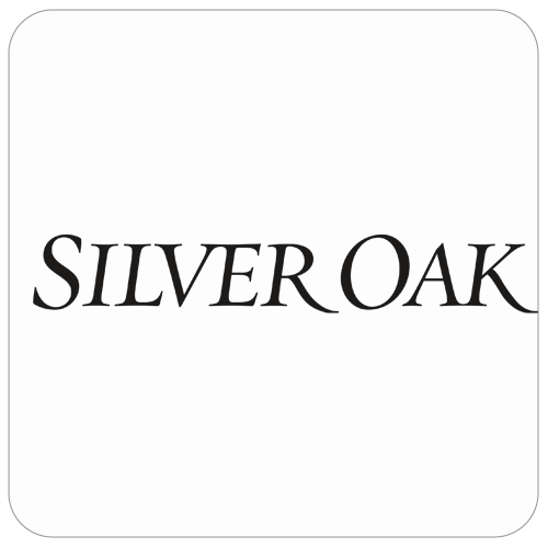 nne.logo.silveroak